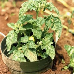 Zavlažovací květináč WATERFENCE, plast, hnědý, Ø 10 cm, SET, 10 ks